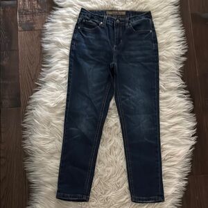 Classic Joe's Jeans